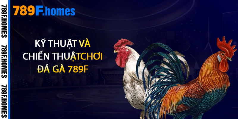 Kỹ thuật và chiến thuật chơi đá gà 789F