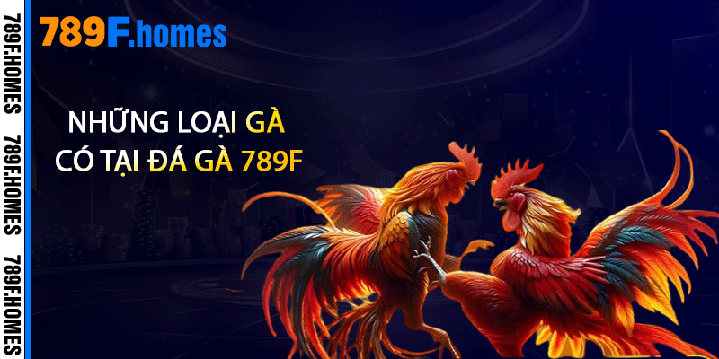 Những loại gà có tại đá gà 789F